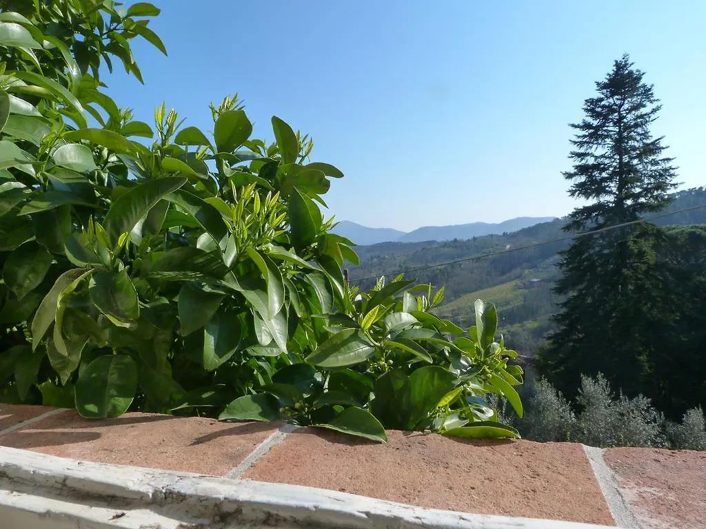 La Casa Di Toto Hotel Lucca Holiday home
