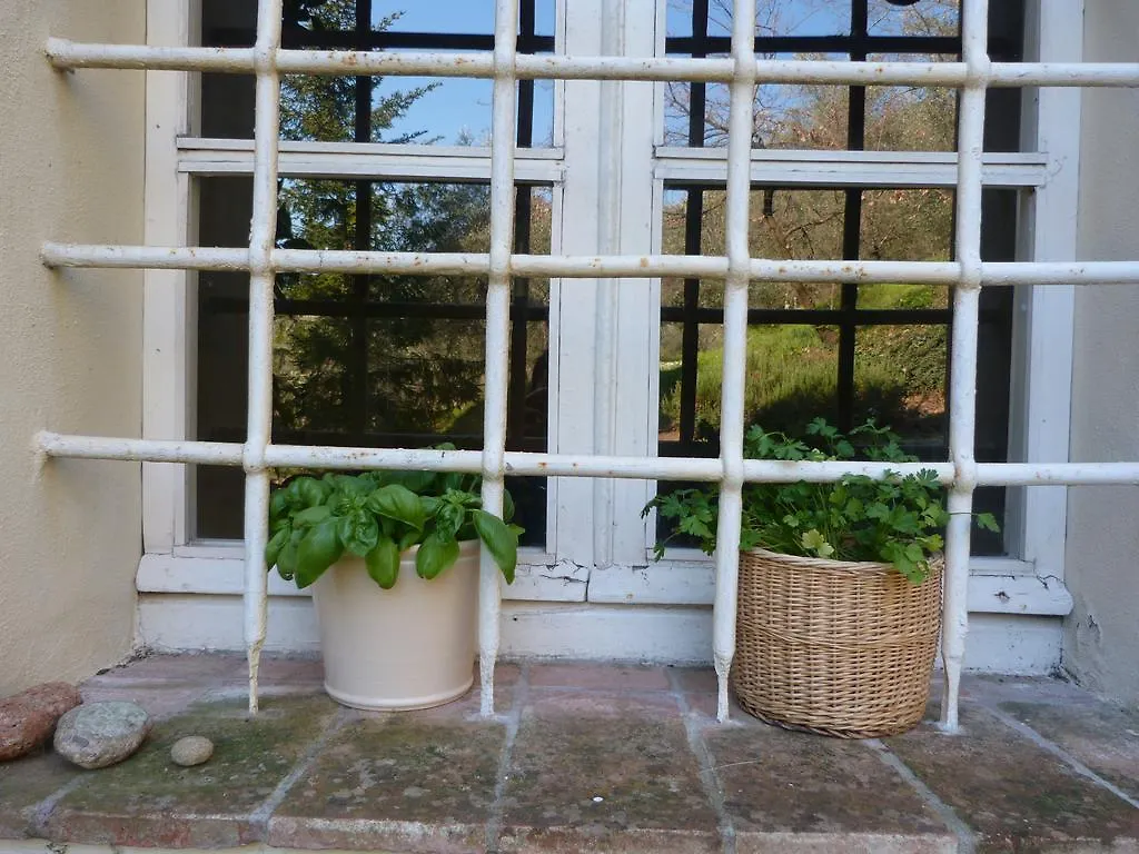 La Casa Di Toto Hotel Lucca