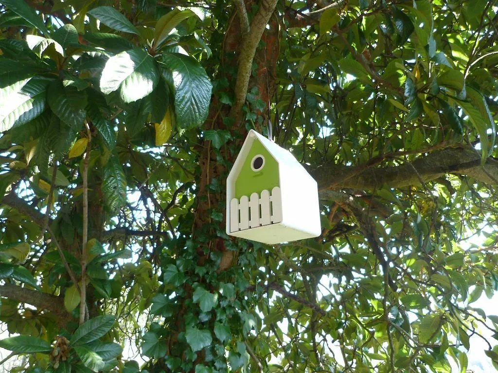 Holiday home La Casa Di Toto Hotel Lucca