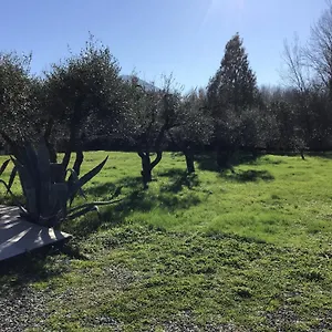 Casa vacanze L Olivo, Lucca